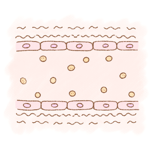 血管内の凝固因子のイラスト