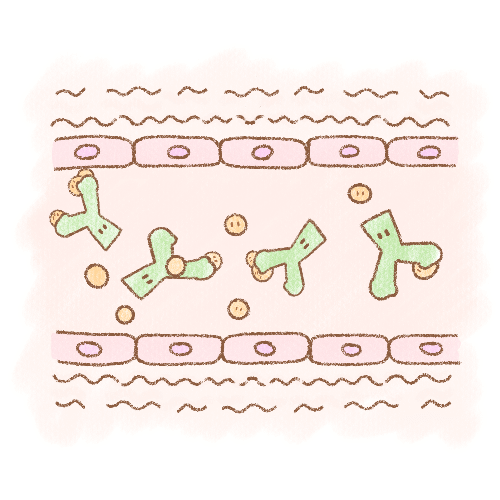 血管内での凝固因子インヒビターのイラスト