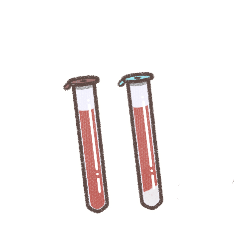 遠心前の検体（左：分離剤なし、右：分離剤あり）