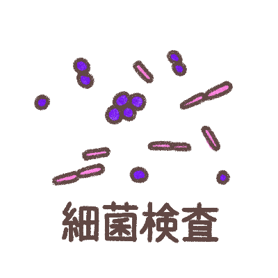 細菌検査