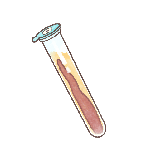 「血餅」のイラスト